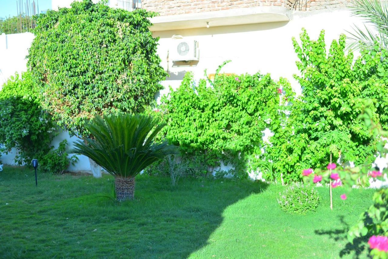 Luxor Rose Villa Bagian luar foto